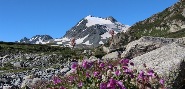 Повышение квалификации учителей по проектированию и проведению уроков системно-деятельностного типа