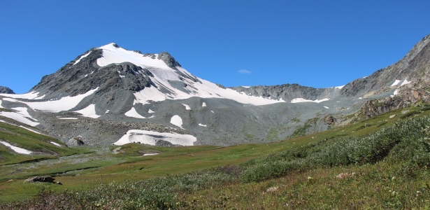 Проведение проектных семинаров по разработке и реализации дополнительных профессиональных программ на основе профессиональных стандартов