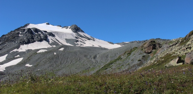 Повышение квалификации работников муниципальных методических служб, руководителей учебно-методических объединений и профессиональных ассоциаций работников образования