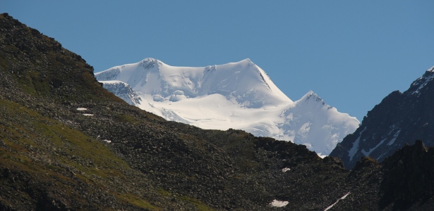 Консультирование при подготовке конкурсных материалов, программ, заявок на получение субсидий и грантов в сфере образования