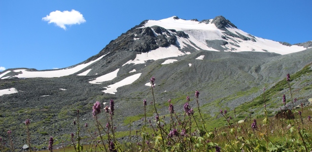 Экспертиза инновационной деятельности и инновационных проектов в социальной сфере, образовании, менеджменте