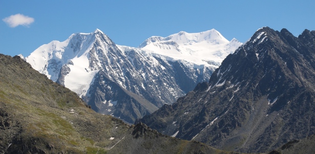 Услуги по информационному сопровождению сайтов образовательных организаций