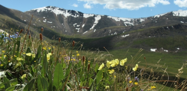 ЦЕНТР РАЗВИТИЯ ОБРАЗОВАНИЯ